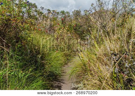 Tourist Trail Around Laguna Cuicocha Lake In Ecuador