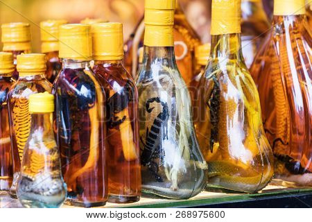 bottles with snakes and scorpions in street shop.