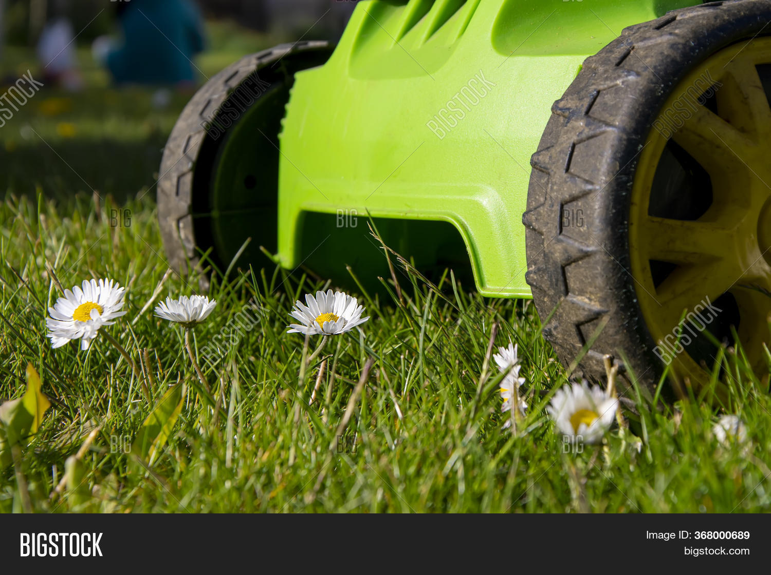 Lawn Mower Cuts Grass Image & Photo (Free Trial) Bigstock