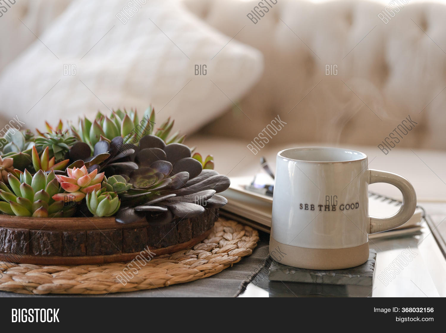 Coffee Mug Succulents Image & Photo (Free Trial) Bigstock