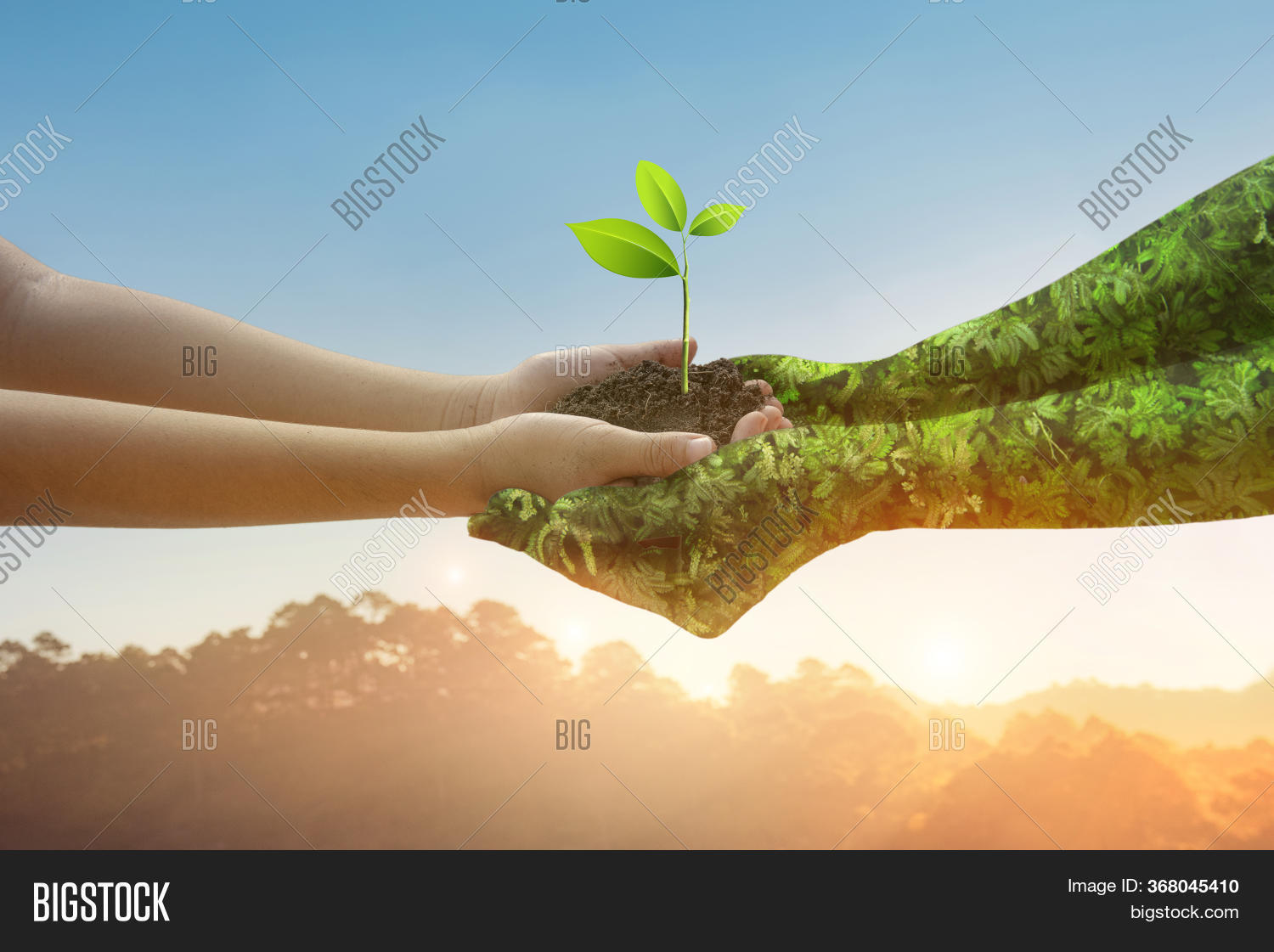 World Environment Day With Hand Of Mother Nature, image size:1500x1121