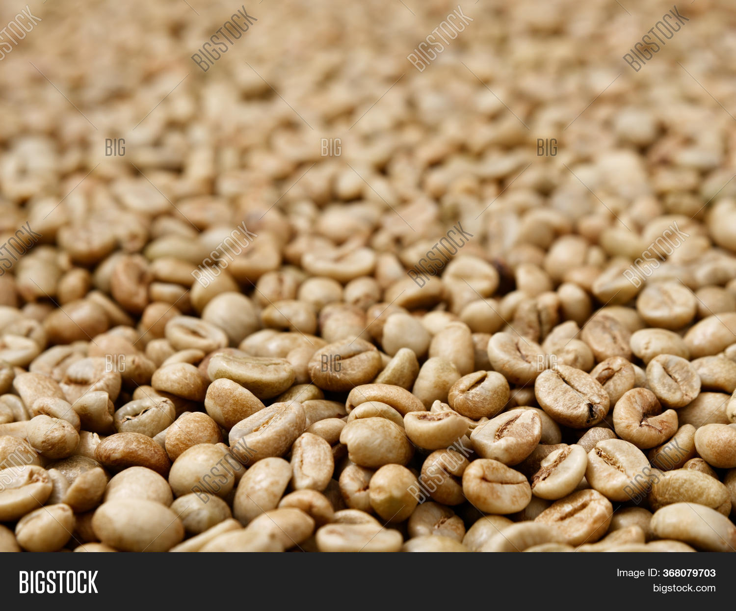 Raw Not Roasted Coffee Image & Photo (Free Trial) Bigstock