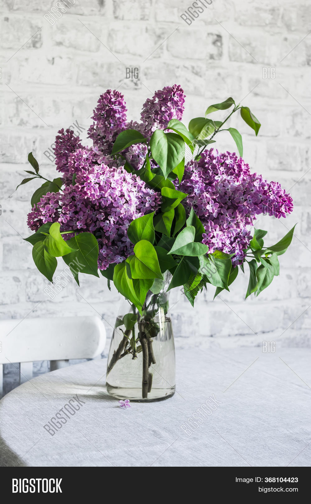 Fresh Bouquet Lilacs Image & Photo (Free Trial) Bigstock