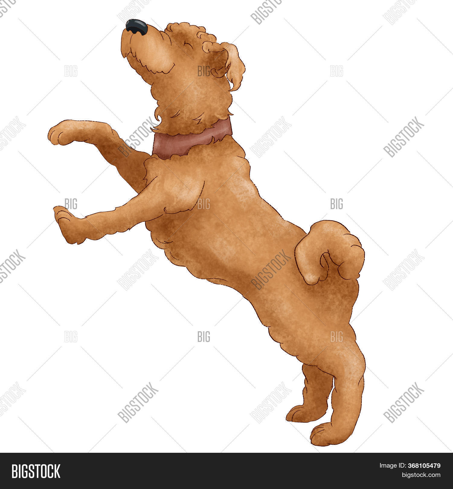 Funny Shaggy Dog Breed Image & Photo (Free Trial) Bigstock