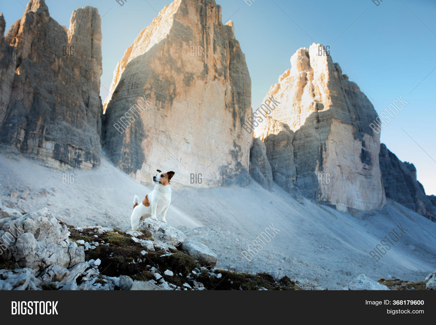Dog Mountains. Image & Photo (Free Trial) Bigstock