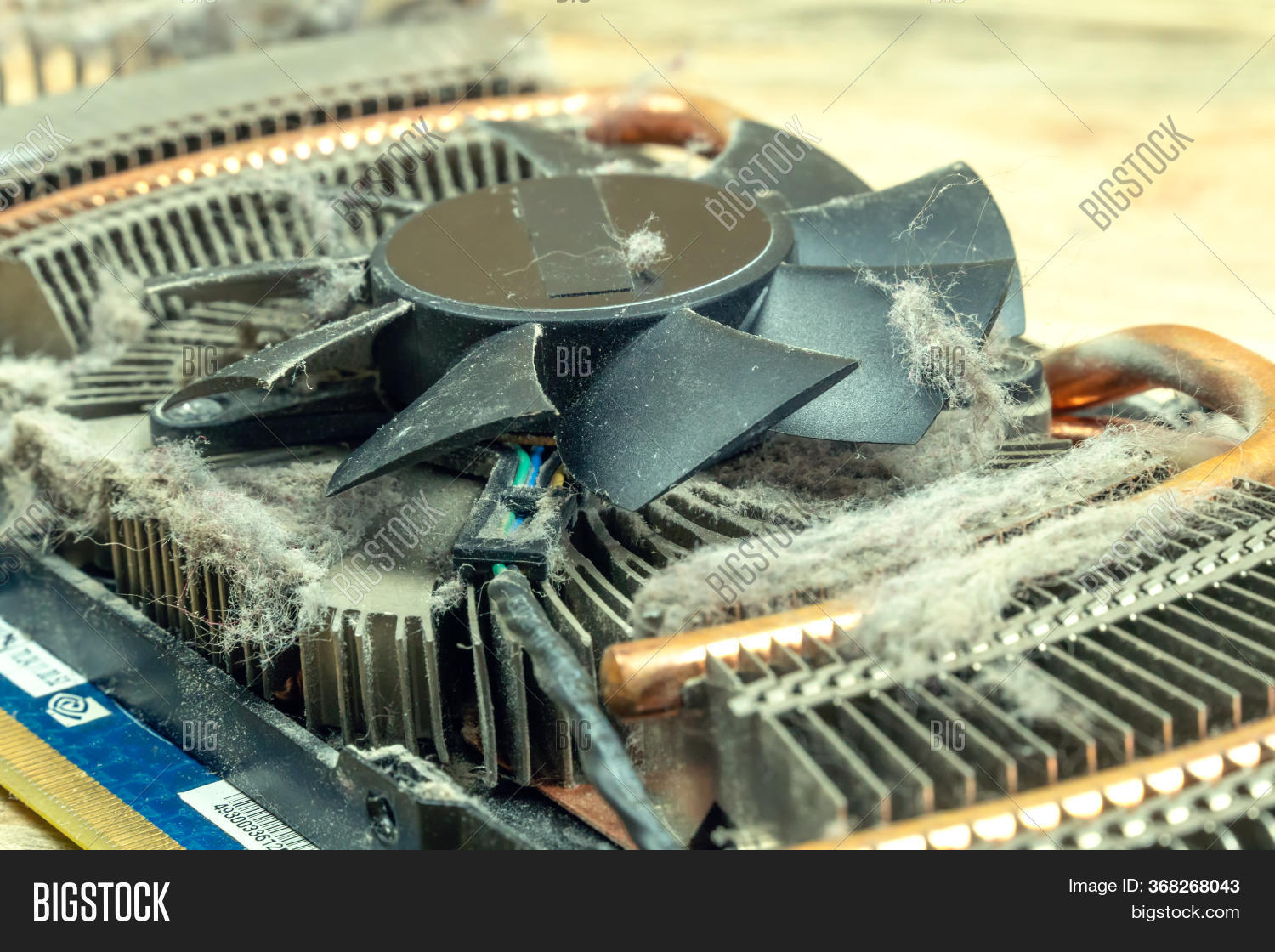 Dust On Cpu Cooler Image & Photo (Free Trial) Bigstock