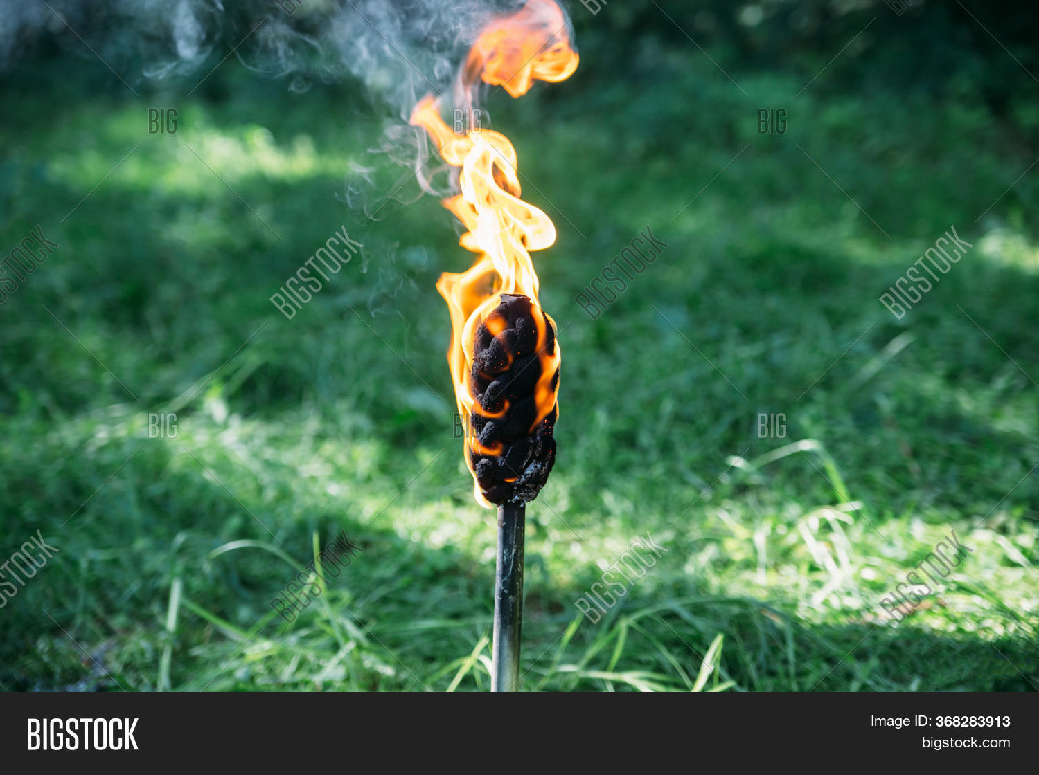 Torch Burns Yellow Image & Photo (Free Trial) Bigstock