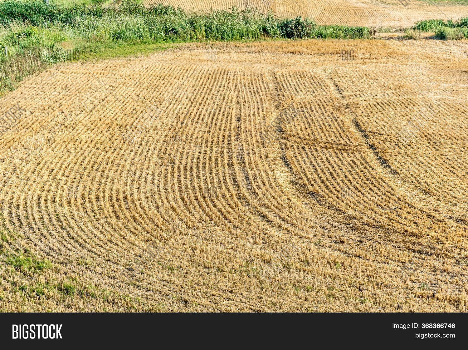 Yellow Farm Field Fall Image & Photo (Free Trial) Bigstock