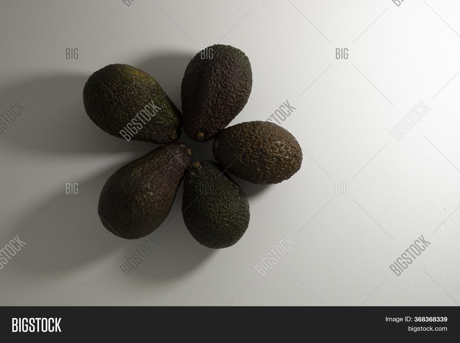 Layout Circle Avocado Image & Photo (Free Trial) | Bigstock