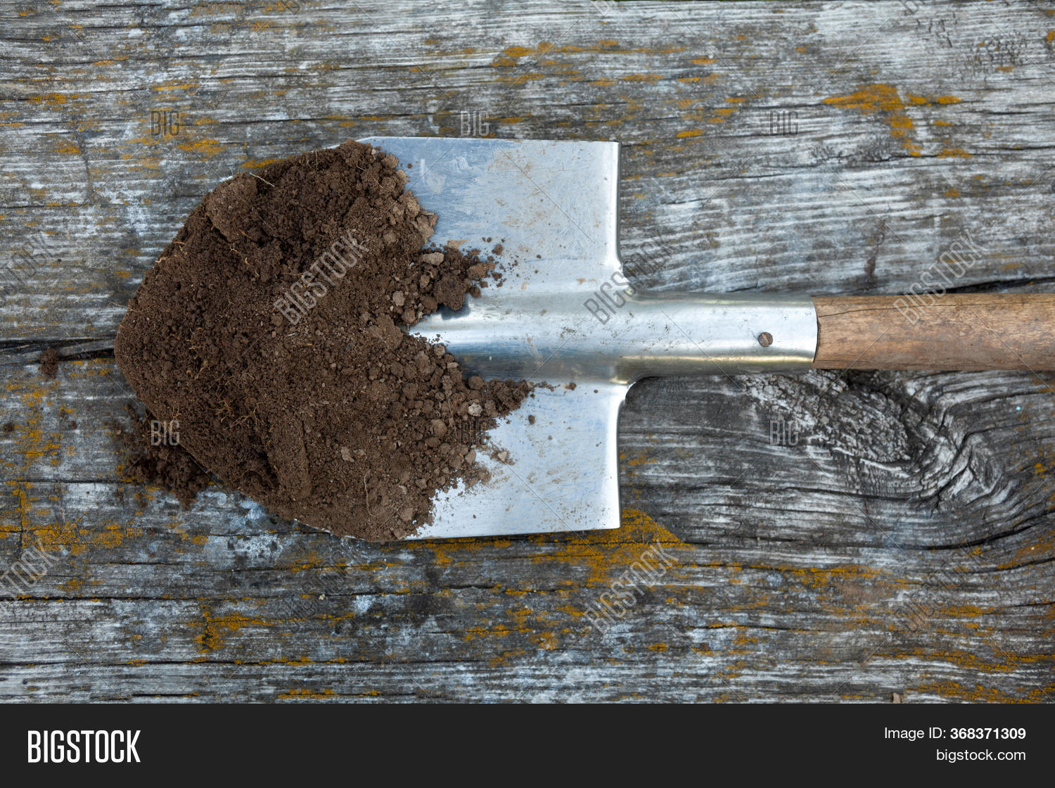 Black Earth (ground, Image & Photo (Free Trial) Bigstock