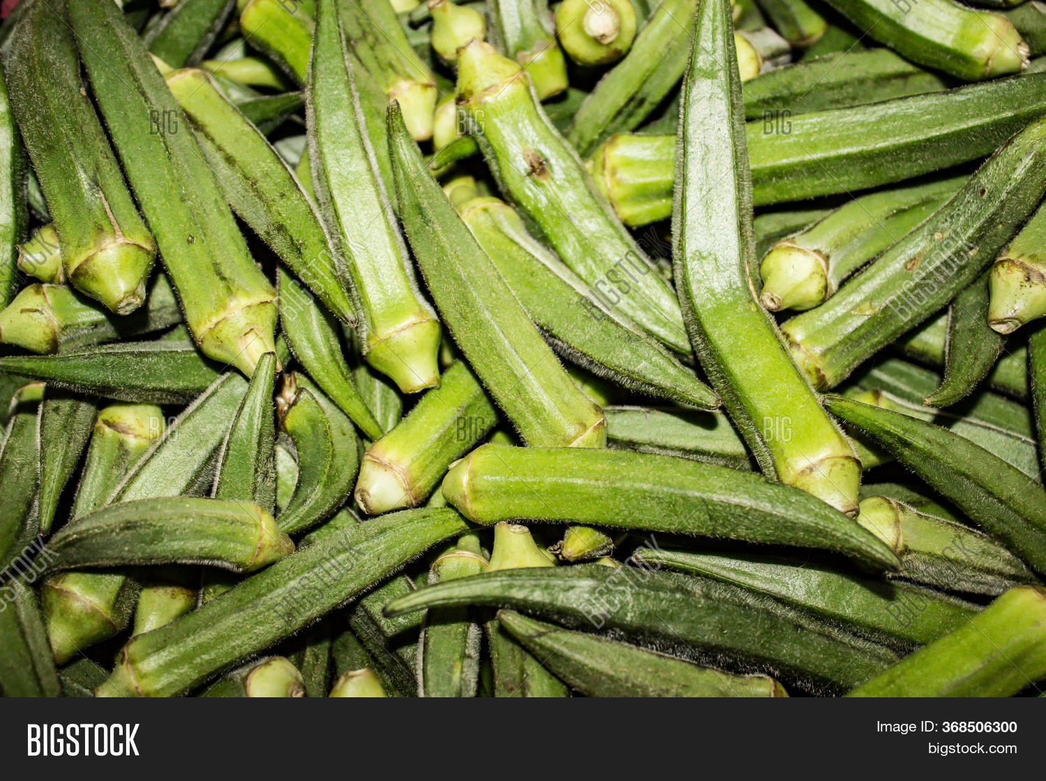 Picture Ladyfinger Image & Photo (Free Trial) Bigstock