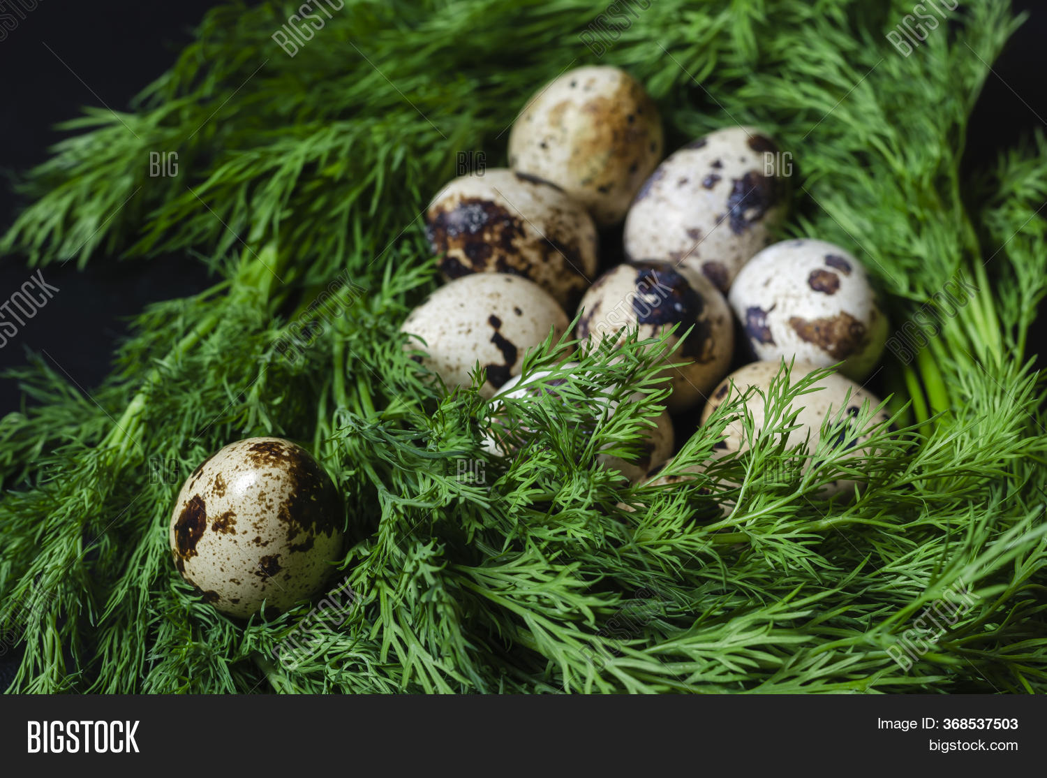 Raw Quail Eggs Bunch Image & Photo (Free Trial) Bigstock