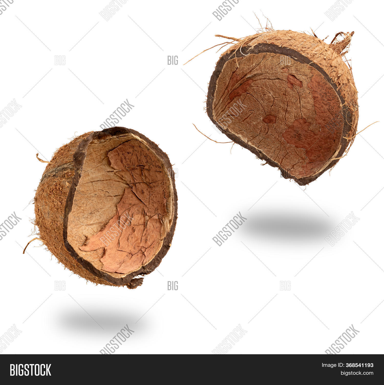 Coconut Fruit Shell Image & Photo (Free Trial) Bigstock