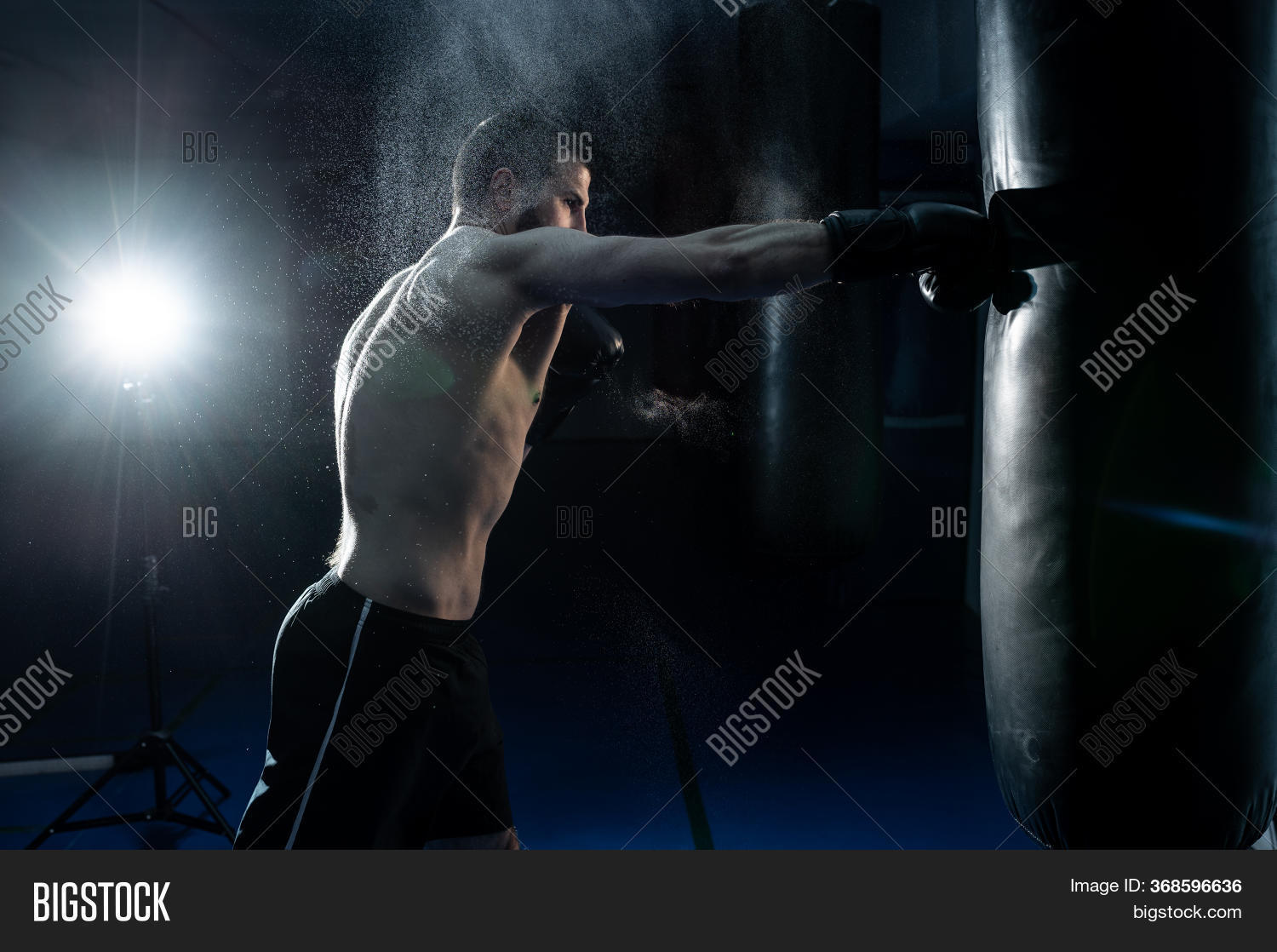 Male Boxer Hitting Image & Photo (Free Trial) Bigstock