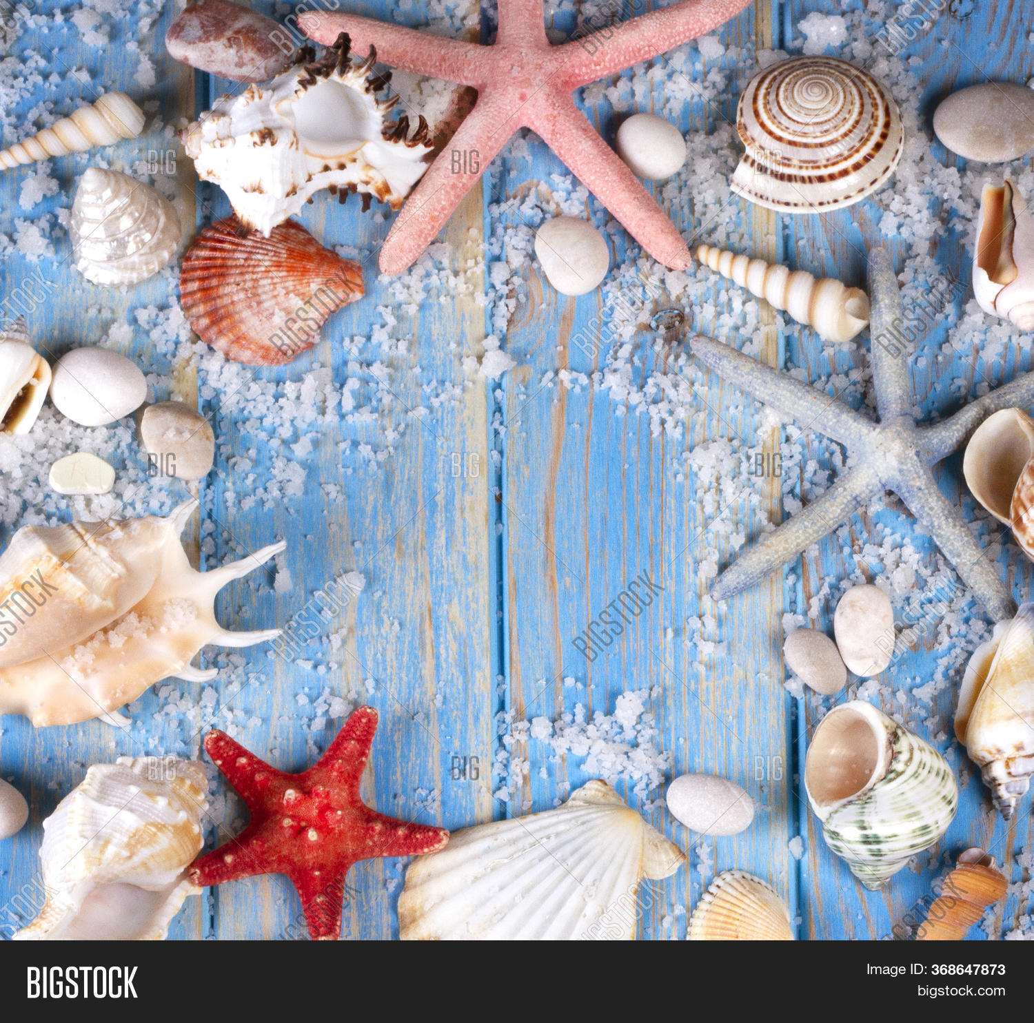 Frame Seashells Image & Photo (Free Trial) | Bigstock