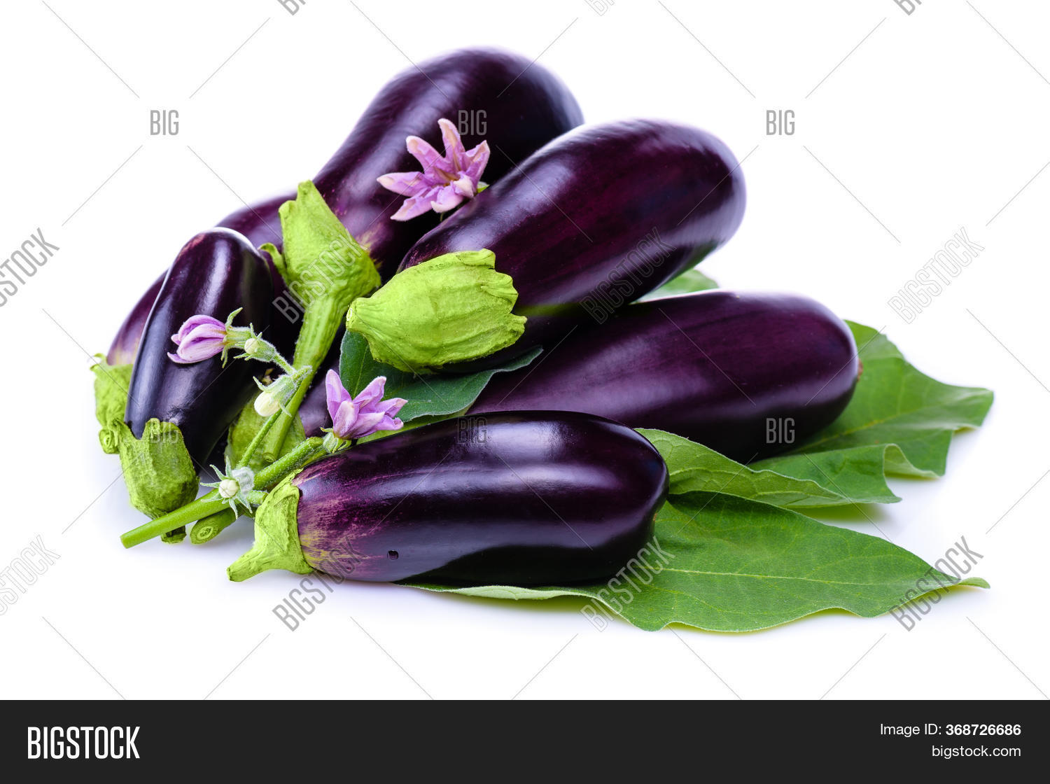 Fresh Eggplants Flower Image & Photo (Free Trial) Bigstock
