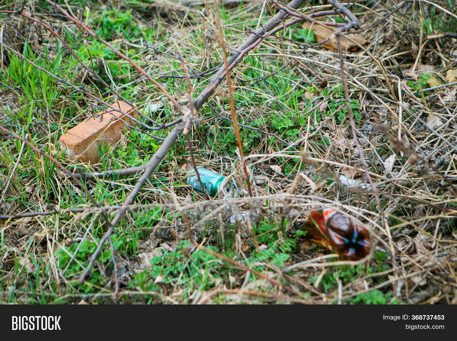 Pile Garbage Woods. Image & Photo (Free Trial) Bigstock