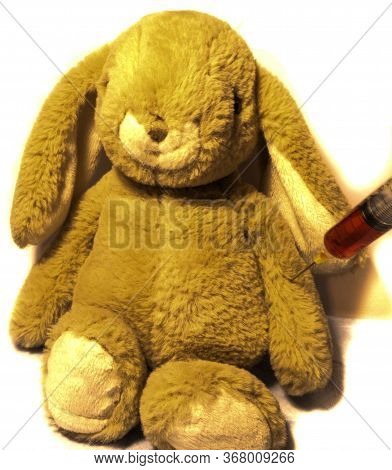 Cuddle Bunny Makes A Blood Test With Syringe