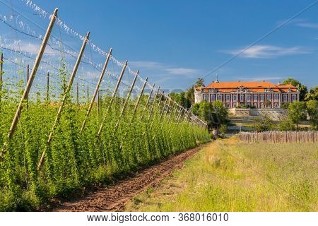 Rococo castle Steknik with hop field, Czech Republic