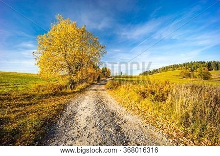 road with autumn tree near saddle Beskyd in Slovakia