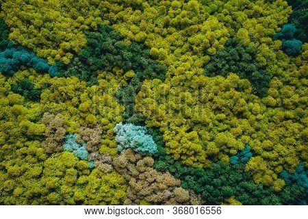 Decorative Wall Of Green Moss. Rustic Background.