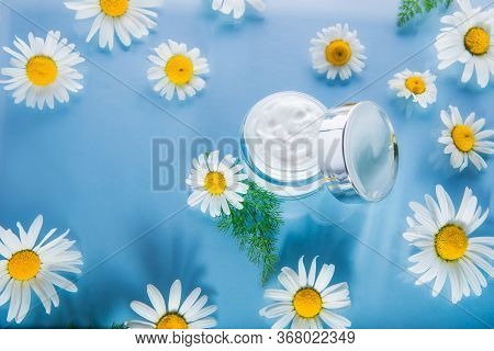 Herbal Cosmetic Cream In Opened Container With Fresh Chamomile Flowers On A Light Blue Glass Backgro