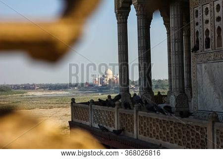 View Of Taj Mahal From Lattice Jali In Agra, Uttar Pradesh, India. It Was Build By Shah Jahan As A M