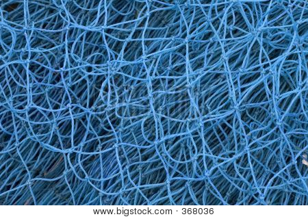 NET 01
