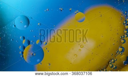 High Quality Abstract Close-up Of A Bright Colourful Natural Bacground With Lemons And Oranges Givin