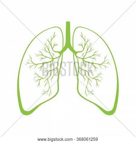 Human Green Lung Anatomy. Respiratory Tract Disease. Respiratory Systems. Vector Illustration