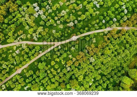 View From The Height Of The Loshitsky Park In Minsk.winding Paths In Loshitsky Park.belarus.apple Or
