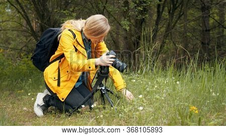 Female Nature Photographer Making Macro Photography Using Camera On Tripod Kneeled In Spring Woods