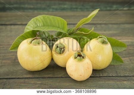 Rose Apple - Syzygium Jambos. Wood Background