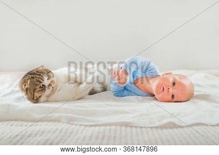 Newborn Sleeping Close Up. Baby Sleeps And Cat And Copy Space. Infant Care, Colic, Sleep After Bath.