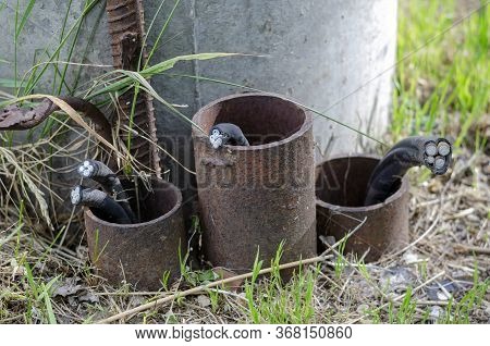 Severed Underground Electric Power Cable. Metal Pipes Stick Out Of The Ground With Bitten Aluminum C