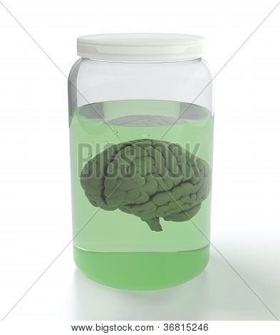 Cerveau dans le récipient avec le liquide