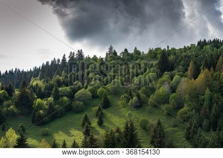 Pine Woods Meets Deciduous Woods On The Top Of The Mountain, Gathering Stormclouds In Bright Sunshin