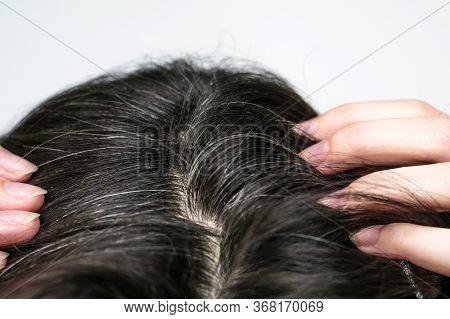 The Head Of A Russian Woman With Black Gray Hair On A White Background. A Thirty-year-old Girl Found