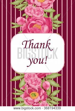 Greeting Card With Pink Peonies And Green Leaves, On A Burgundy Background, Stock Vector Illustratio