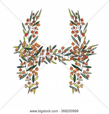 Letter H Of The English And Latin Floral Alphabet. Graphic On A White Background. Letter H Of Sprigs