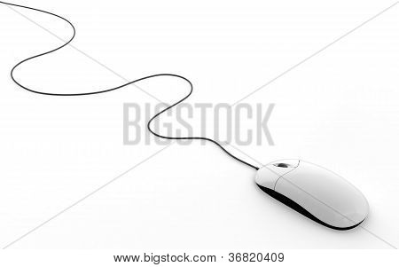 Computer Mouse