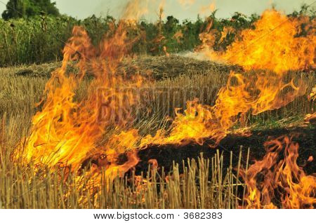 Burning stubb