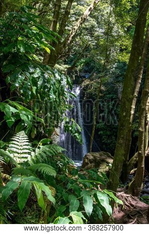 Walk And Discover The Prego Salto Waterfall On The Island Of Sao Miguel, Azores