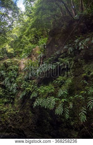 Walk And Discover The Prego Salto Waterfall On The Island Of Sao Miguel, Azores