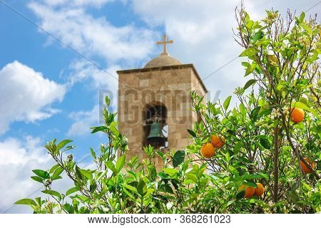 Monastery Of St. Barnabas In Cyprus And Oranges Trees