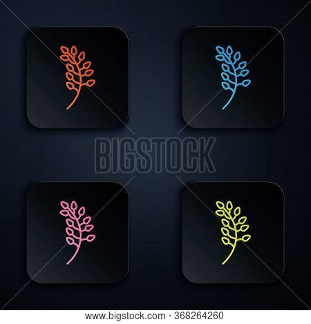 Color Neon Line Willow Leaf Icon Isolated On Black Background. Set Icons In Square Buttons. Vector I