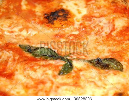 Pizza Margherita