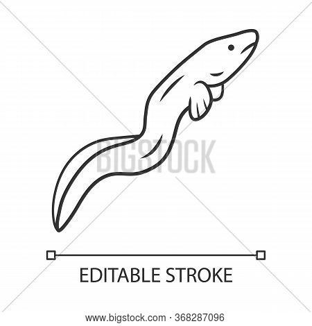 Eel Linear Icon. Floating Snakelike Fish. Sea Animal. Asian Seafood, Sushi Ingredient. Snake Shape C