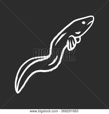 Eel Chalk Icon. Floating Snakelike Fish. Sea Underwater Animal With Smooth Skin. Asian Seafood, Sush