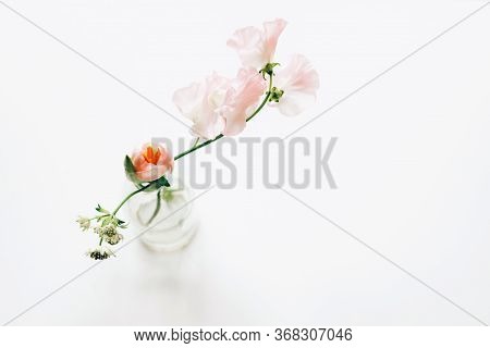 Nice And Tender Floral Greeting Card Design, Made Of Sweet Pea Flowers On White Background. Lardge S